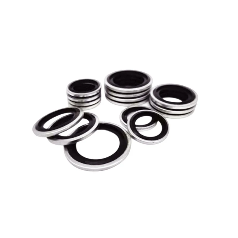NBR Carbon Steel Bonded Seal-3